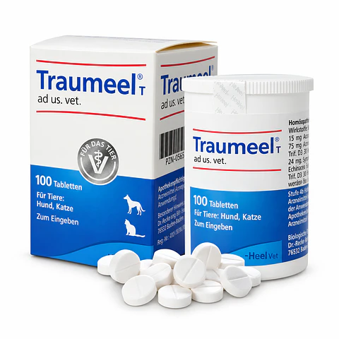 Traumeel 100 comprimidos