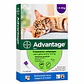 Pipeta Advantage Gato 4 a 8 kg. - Miniatura 1