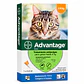 Pipeta Advantage Gato hasta 4 kg. - Miniatura 1