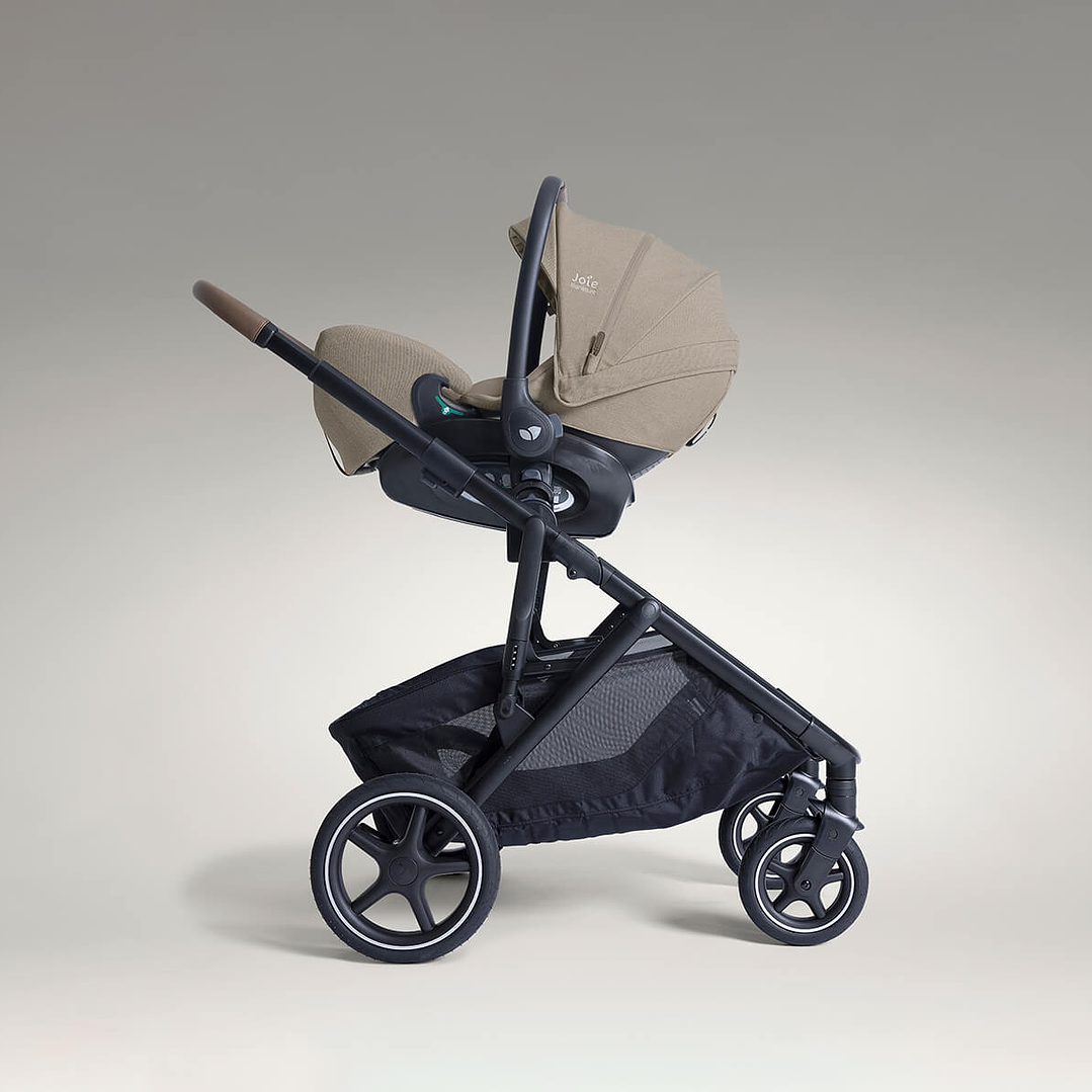 Joie VERSITI™- SIGNATURE Sandstone  5