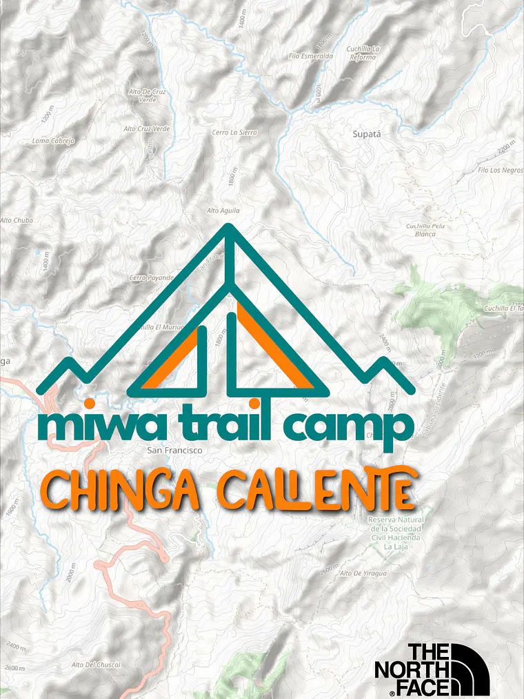 MiWA Trail Camp + Diego Tom / Bosque Húmedo 1