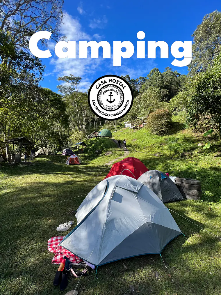 MiWA Trail Camp + Diego Tom / Bosque Húmedo 3