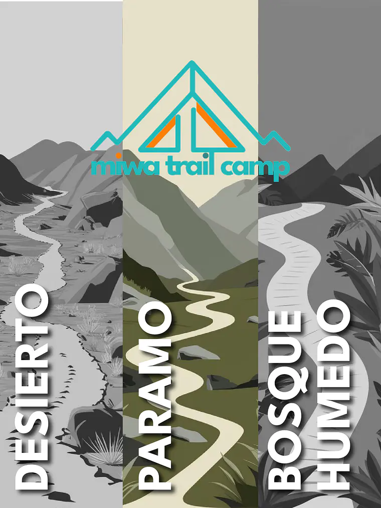 MiWA Trail Camp + Diego Tom / El Dorado, Páramo 2
