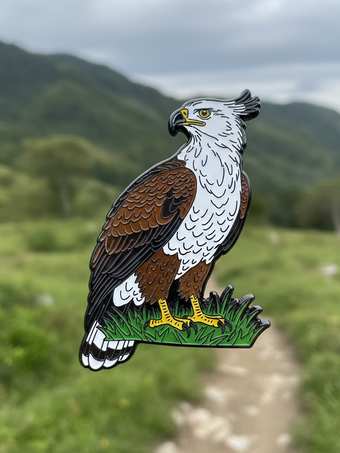 Conservacion del aguila crestada 1