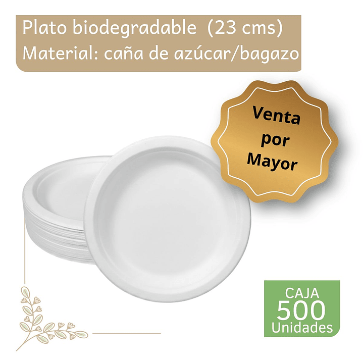 Caja Plato bagazo redondo blanco 23 cm (500 unidades) 1