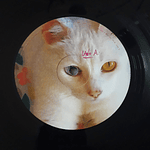 Boom Boom Kid 'El disco de la Primavera' LP