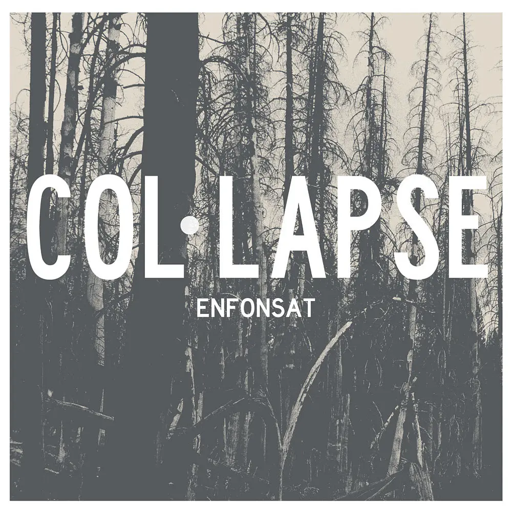 Col lapse 'Enfonsat' LP