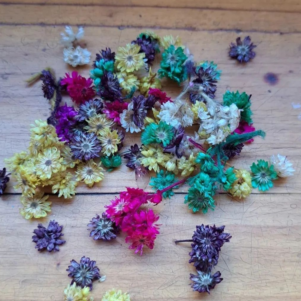 SURTIDO FLORES SECAS  DECORACIÓN RESINA 1