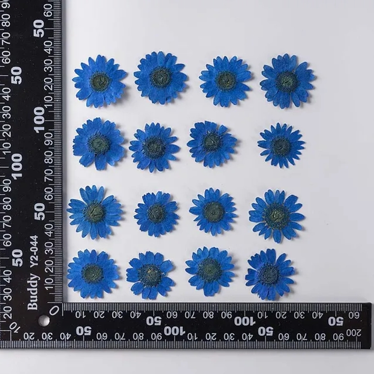 Margaritas Azules  2