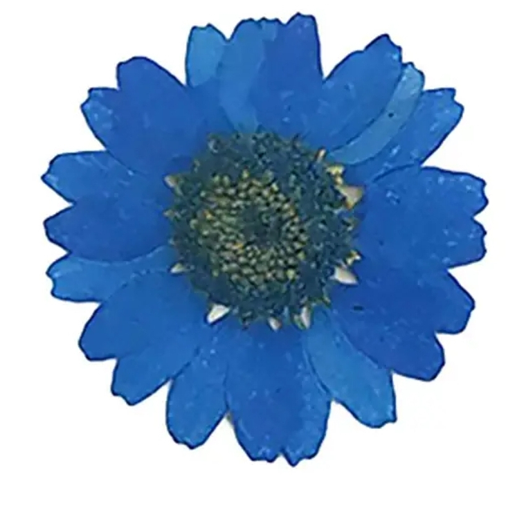 Margaritas Azules  3