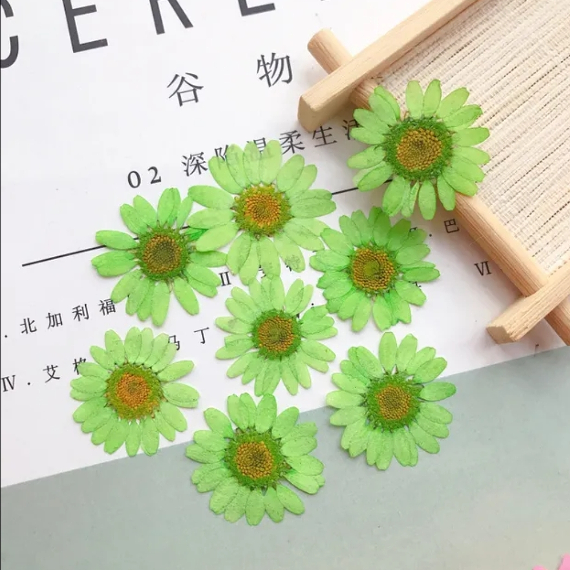 Margaritas Verde Claro 1