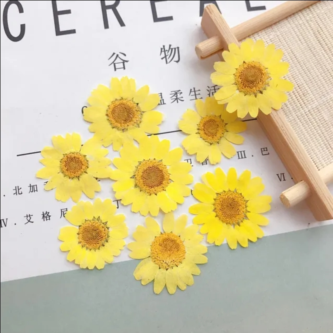 Margaritas Amarillos 1