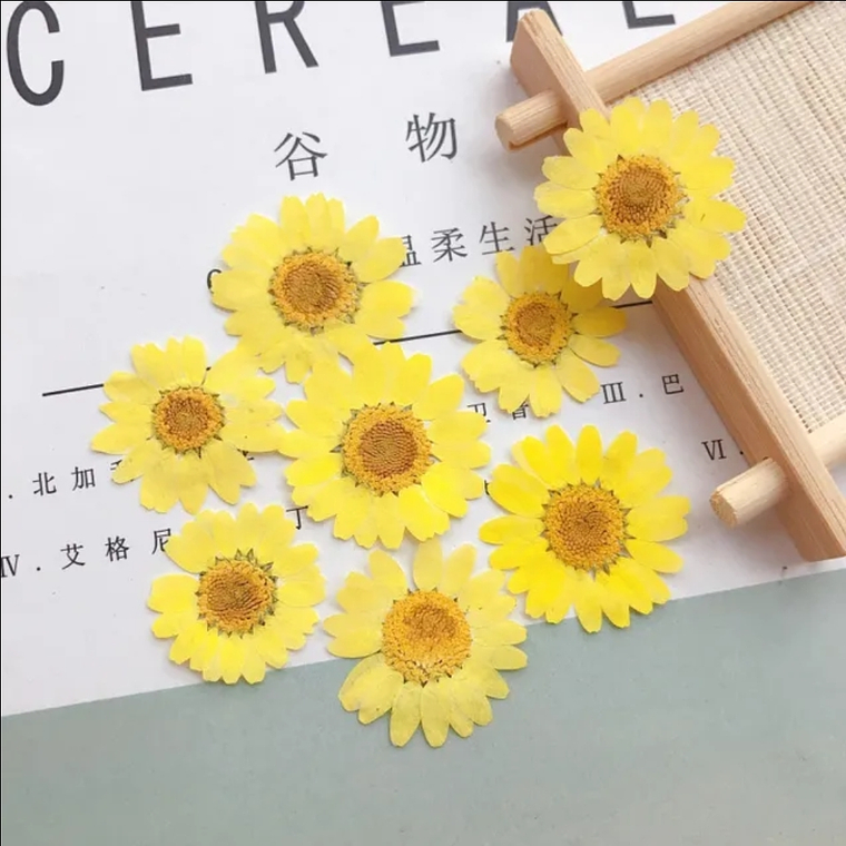 Margaritas Amarillos 1