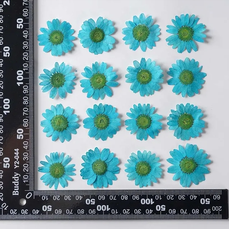 Margaritas Turquesa  1