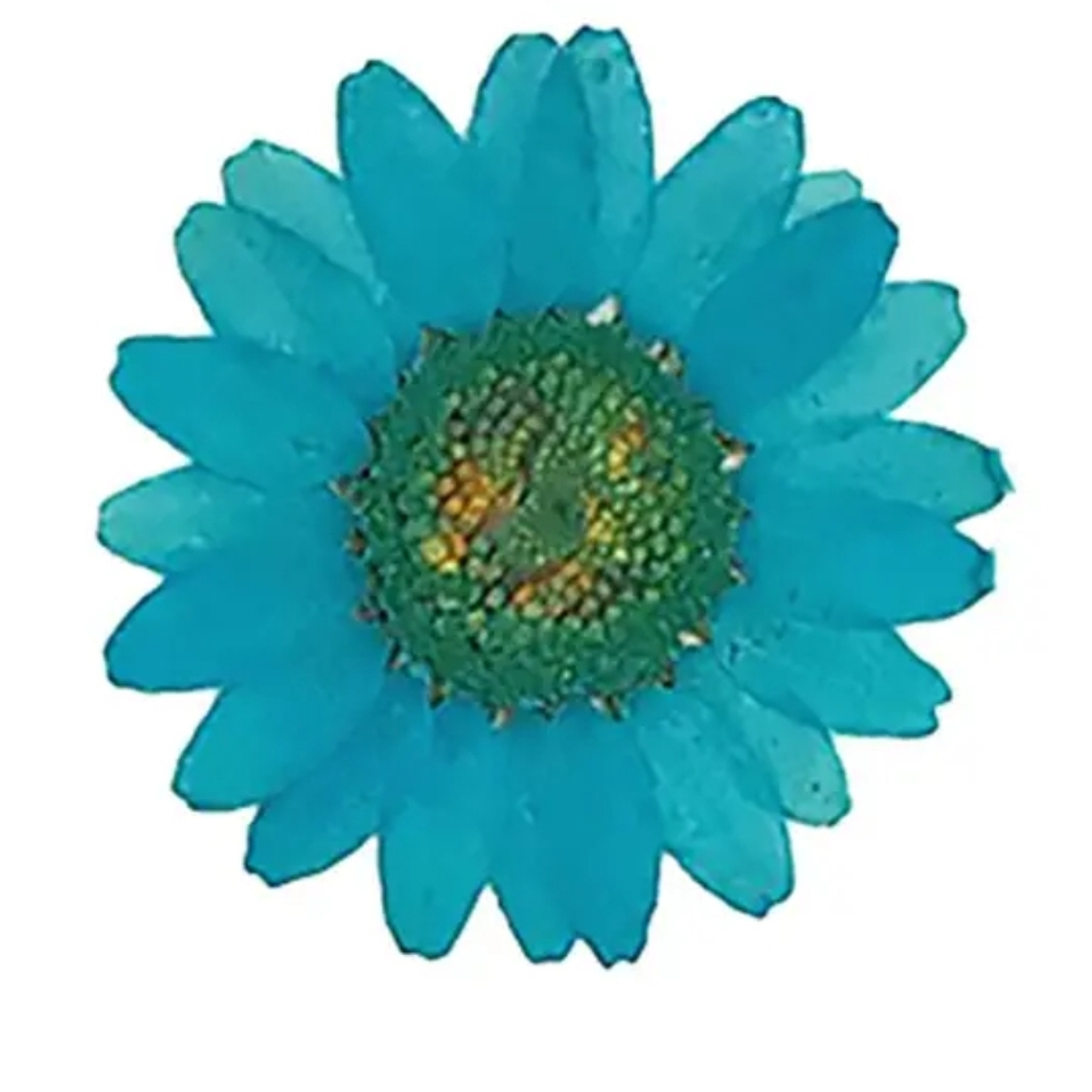 Margaritas Turquesa  2