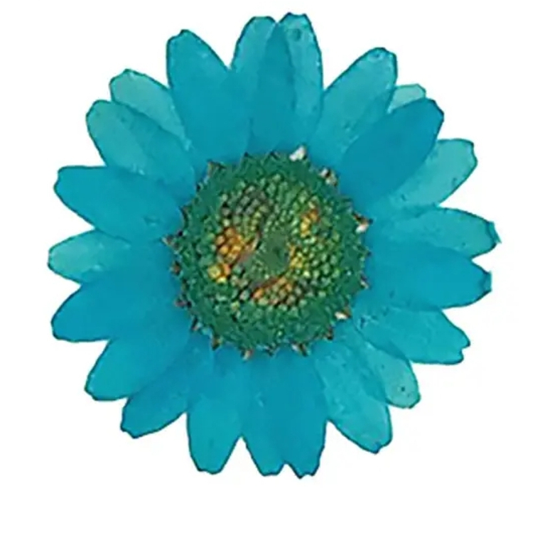 Margaritas Turquesa  2