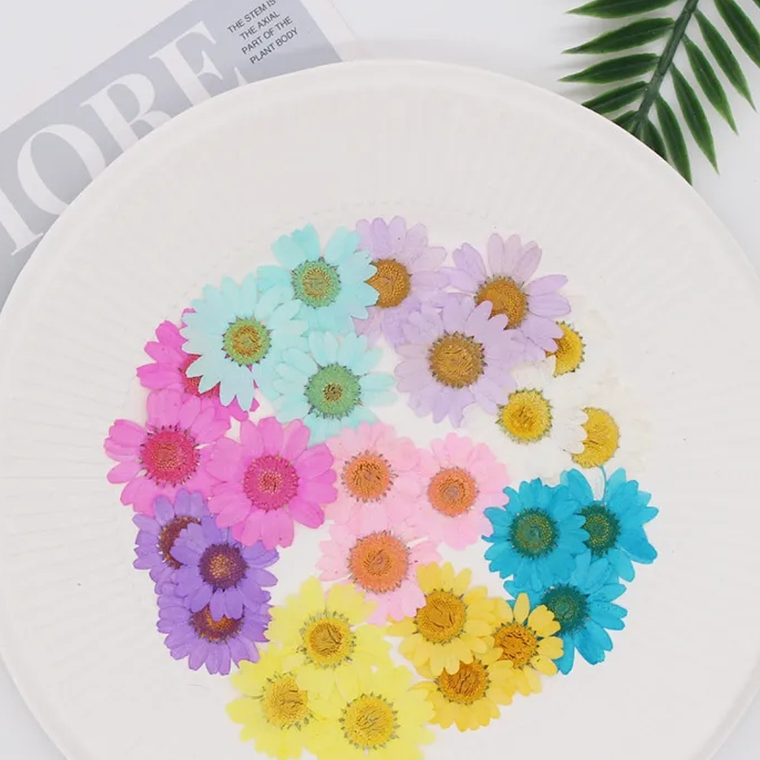 Margaritas Mix Colores  2