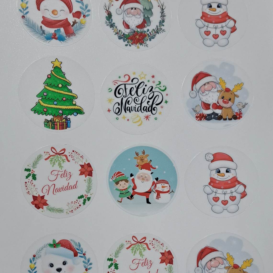 Hoja vinilo para encapsular  1