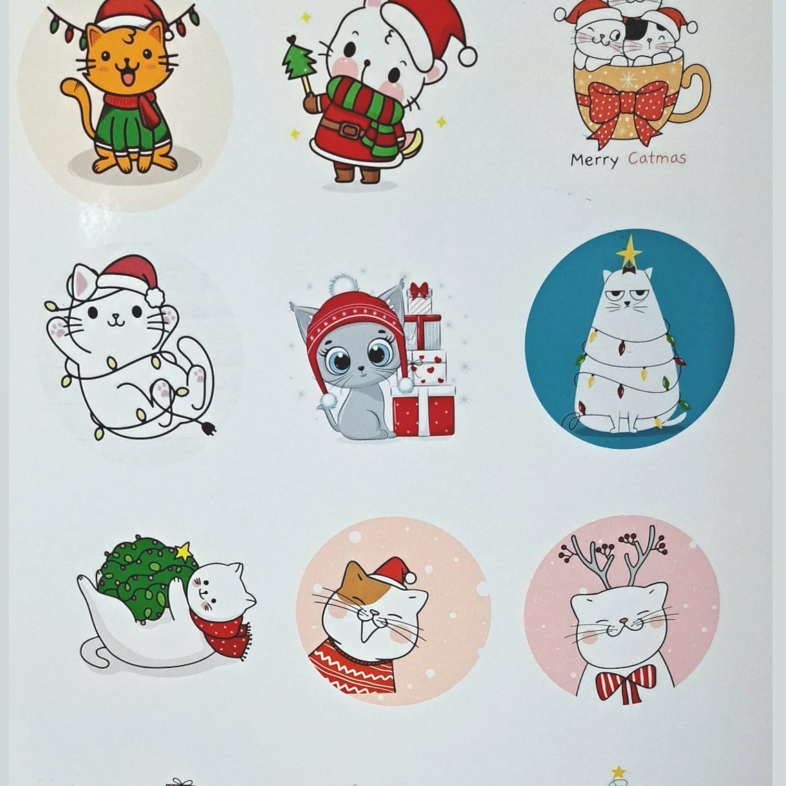 Hoja vinilo para encapsular  4