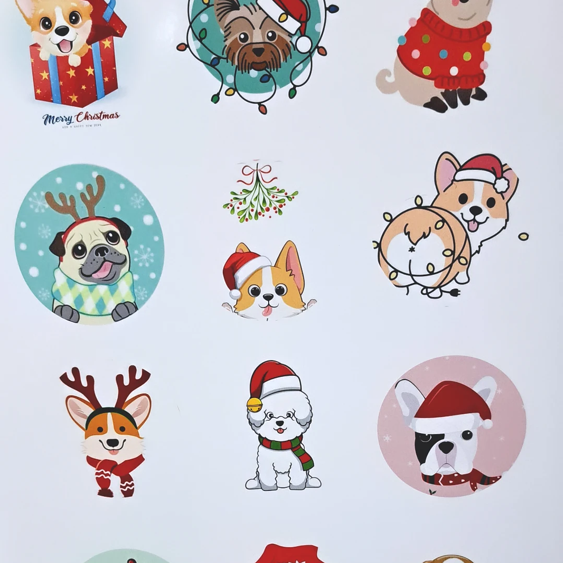 Hoja vinilo para encapsular  5