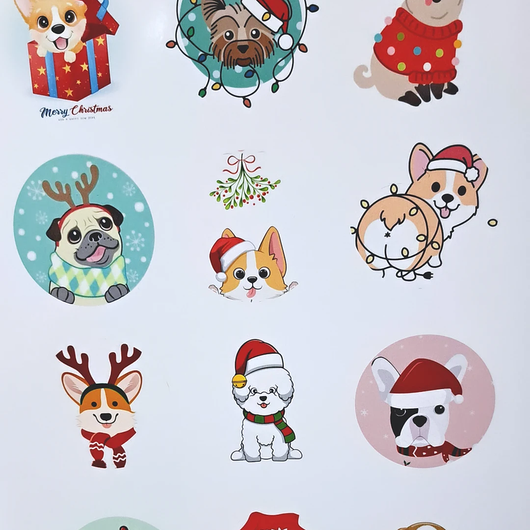 Hoja vinilo para encapsular  5