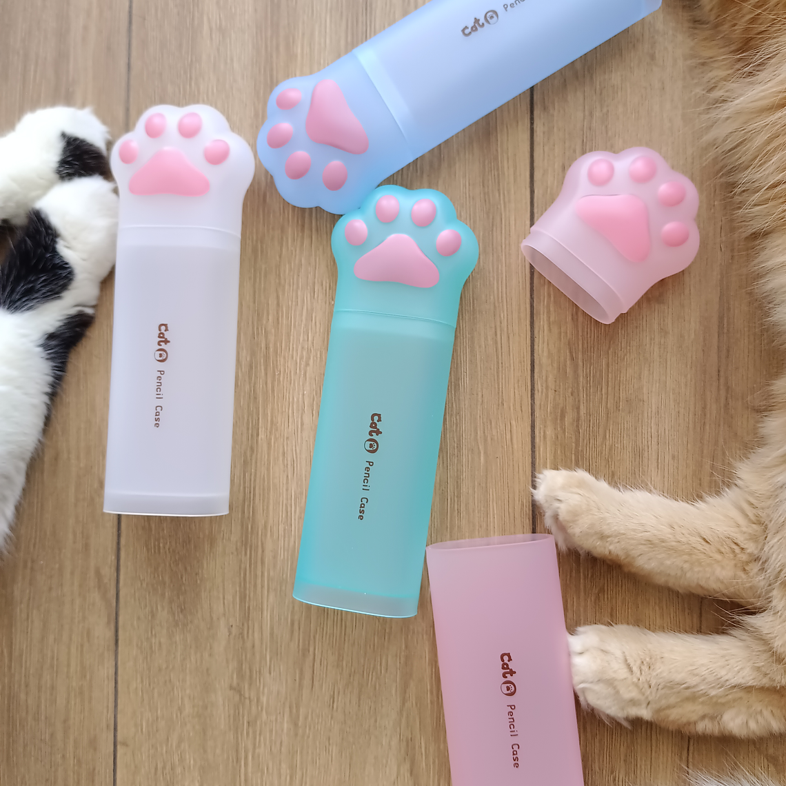 Estuche plástico  1