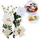 Flores secas prensadas  - Miniatura 1