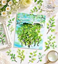 Colección Naturaleza Vintage - Miniatura 6