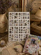 Libro de Stickers - Estética Vintage & Naturaleza - Miniatura 3