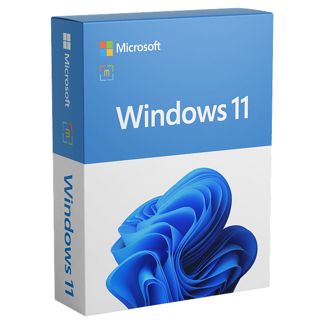 Windows 11 Pro 1 PC