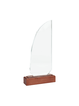 Trofeo Galvano de Madera y Cristal 