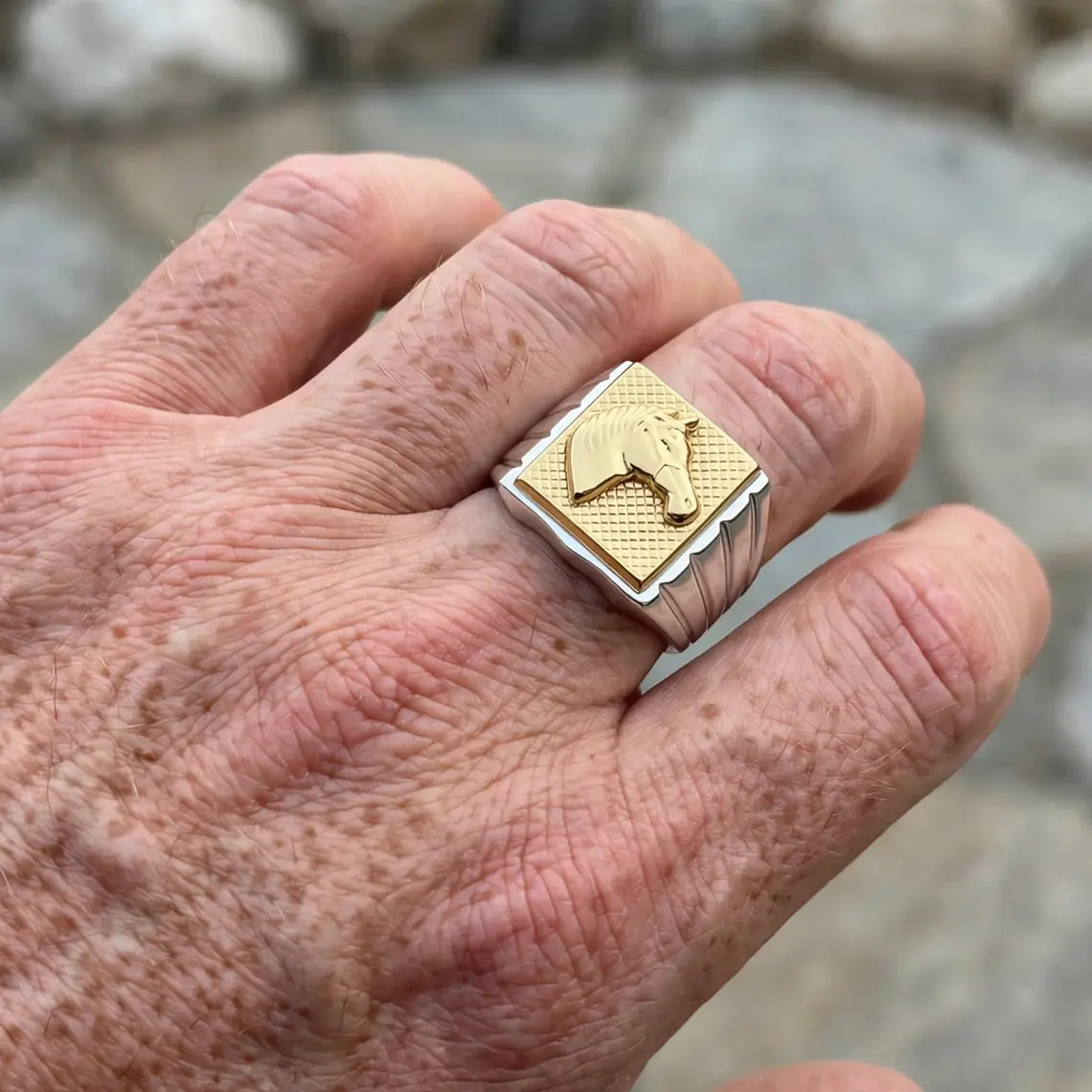 Anillo sello circones caballo en oro T22 2
