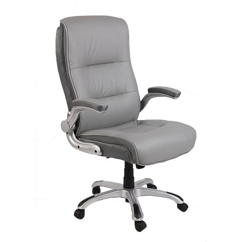 Silla De Oficina Director