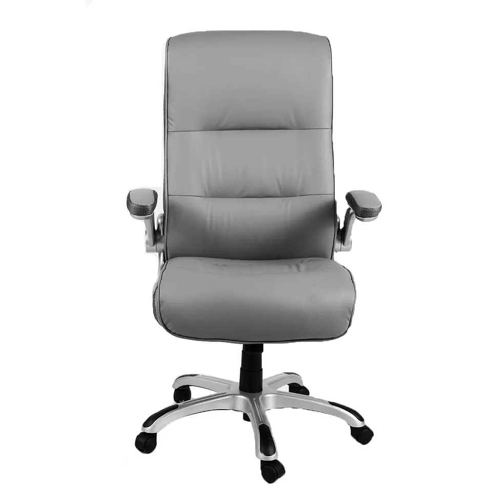 Silla De Oficina Director 2