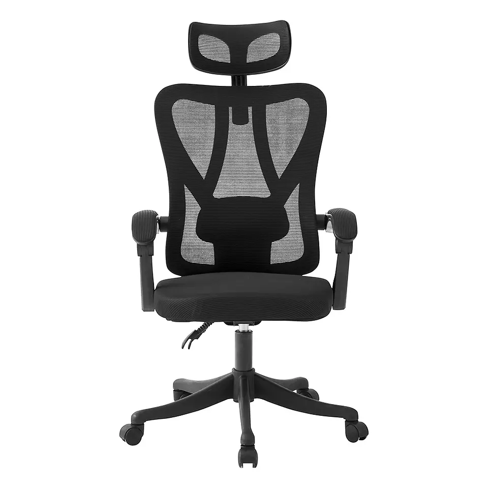 Silla Ergonomica Paris 2