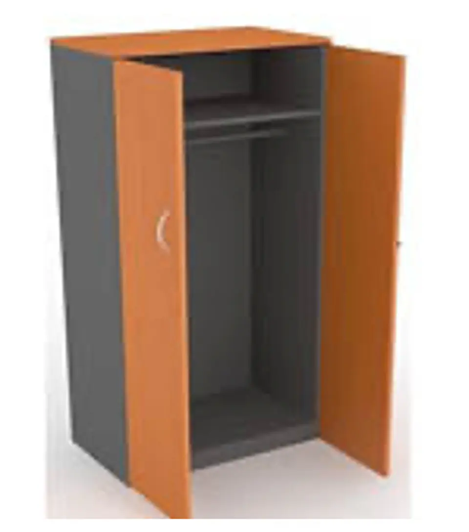 Gabinete - Alto Closet 2 Puertas Abatir 70X50X180 Cm 1