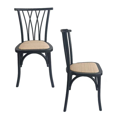 Silla Andes