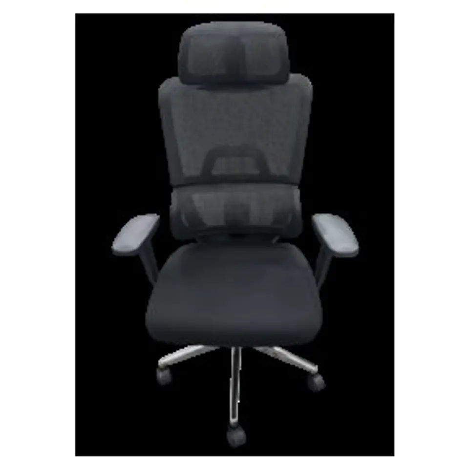 Silla Ejecutiva Ergonómica 1