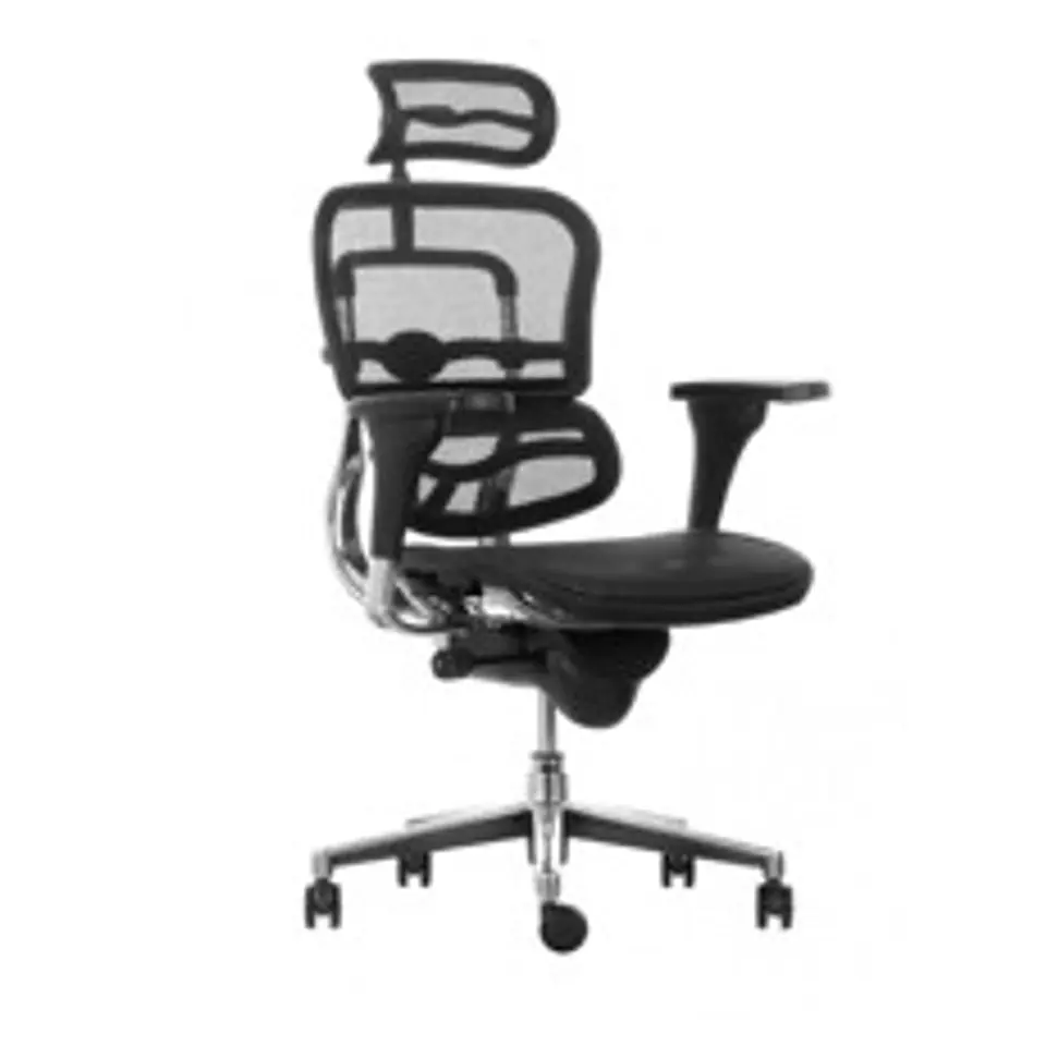Silla Ergohuman Full Malla 1