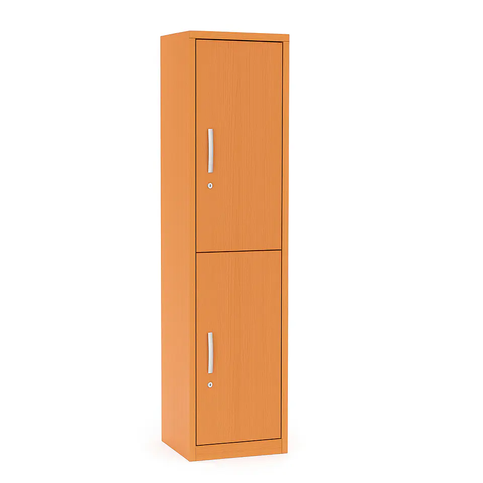 Locker de Madera 2 Puertas con Ganchos 30x40x192 cm 1
