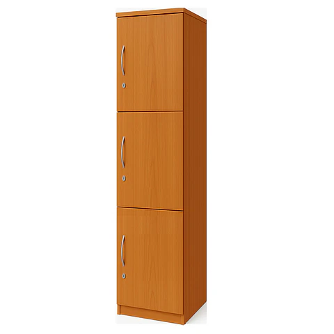 Locker Madera 1C 3P Medidas: 170X35X45 De Fondo