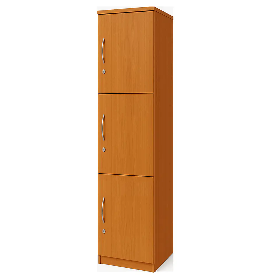 Locker de Madera 3 Puertas 170x35x45 cm 1