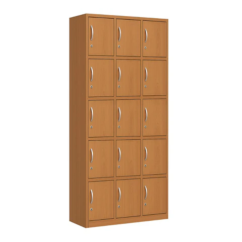 Locker - Madera 15 Casilleros 150X190X45 Cm