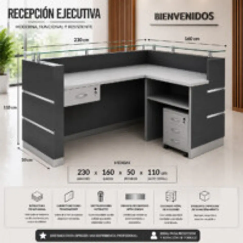 MESON DE RECEPCION EN L 2