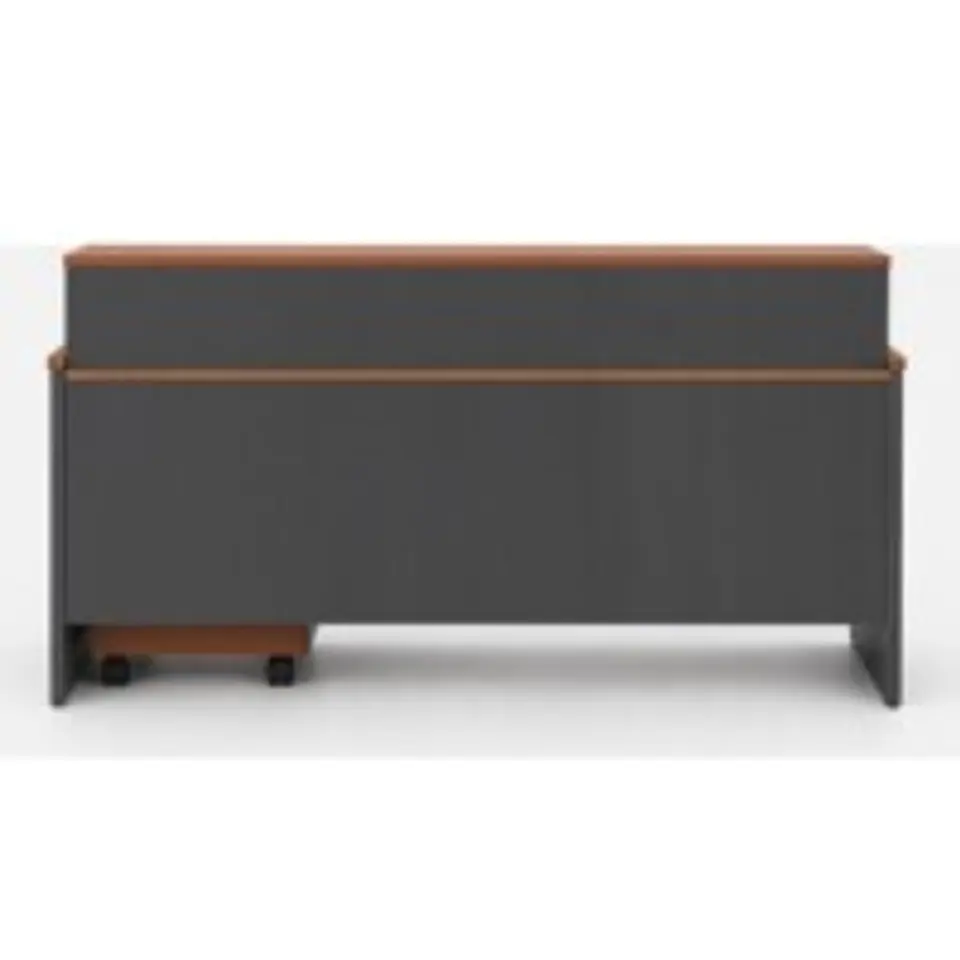 MUEBLE RECEPCION 4