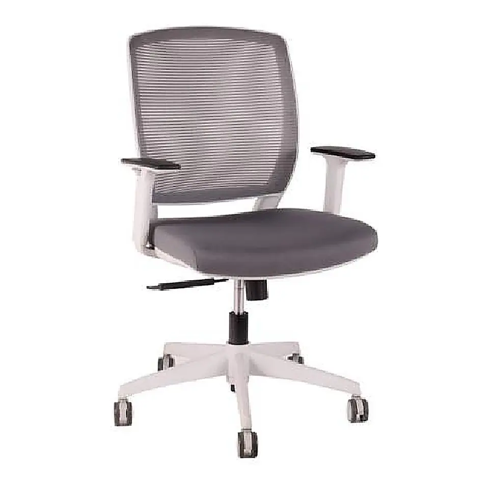Job Gris 1