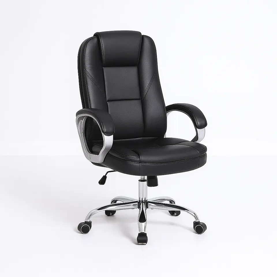 MAGNUS EJECUTIVA 1