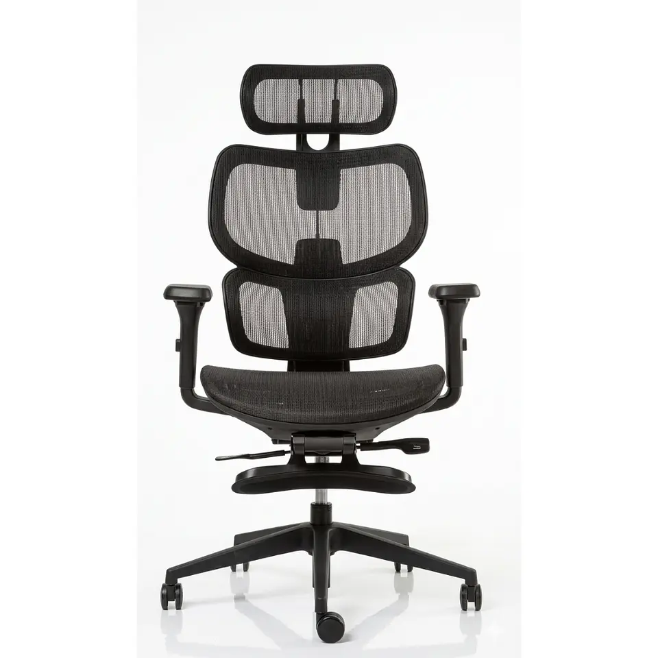 ERGOPLUS 1