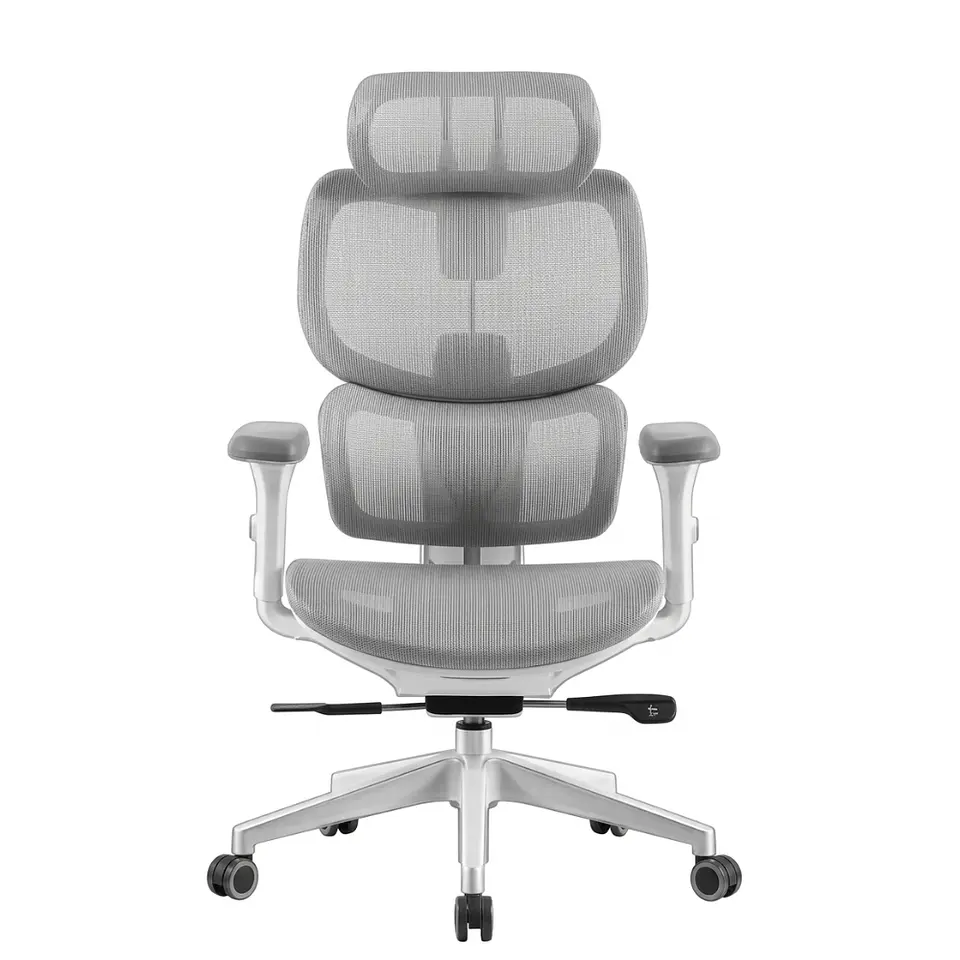 ERGOPLUS 4