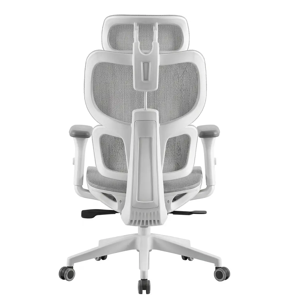 ERGOPLUS 6